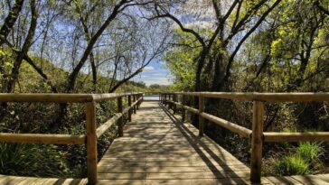 Descubre los 24 parques naturales andaluces.